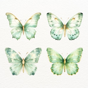 Mint Green and Gold Butterflies Clipart, Watercolor Insects, Painted ...