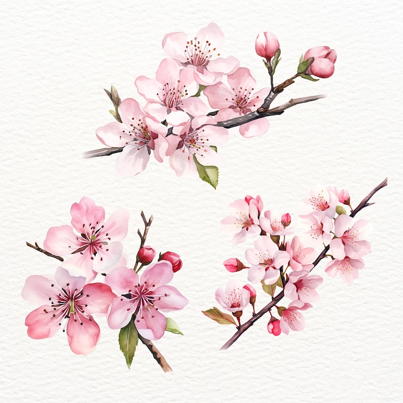 May include: Watercolor painting of three pink cherry blossom branches with delicate flowers and green leaves.