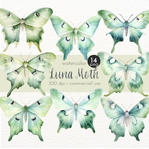Luna Motte Clipart, Aquarell Insekten, gemalte Motten, rustikale Bio Motte - Instant Download - Kommerzielle Nutzung
