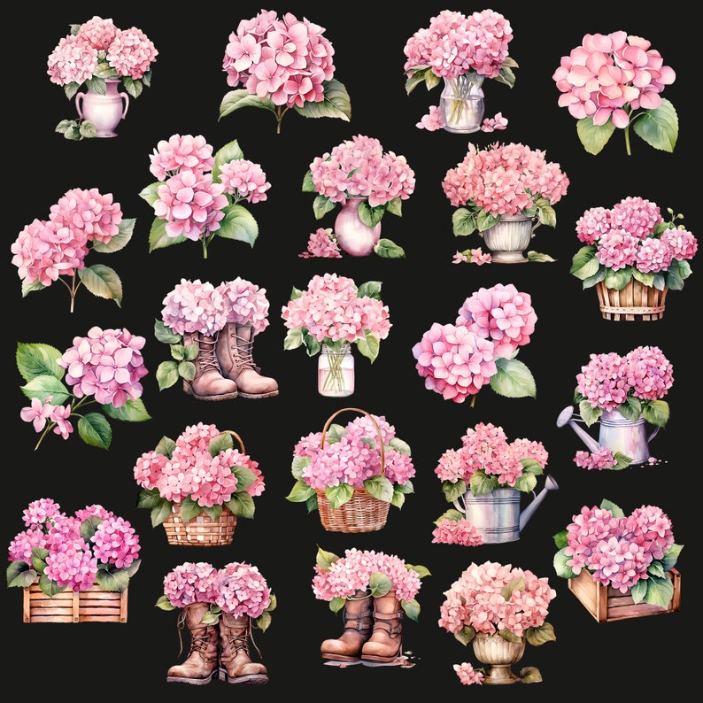 Pink Hydrangea Watercolor Clipart: 22 PNG Flower Images (commercial Use ...