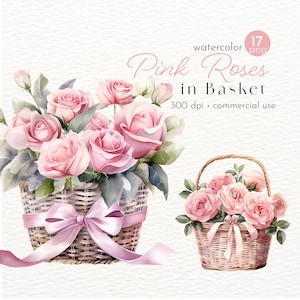 Rosas rosadas suaves y claras en cesta clipart, flores de rosas de acuarela, imágenes de hermosas flores de verano - Descarga instantánea - Uso comercial