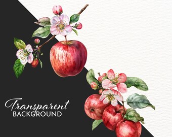 リンゴの花のクリップアート：水彩画の花の枝のイラスト（商用利用