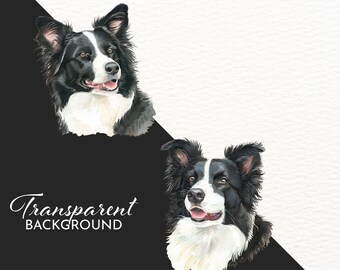 ボーダーコリーのクリップアート：水彩画の犬の画像18枚（デジタル