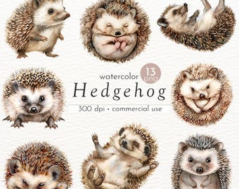 Cute Hedgehog Clipart, Little Hedgehog Baby, Baby Shower Clipart, Baby Hedgehog Images - Instant Download - Commercial Use