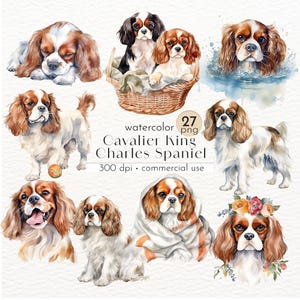 Watercolor Cavalier King Charles Spaniel Clipart Bundle (PNG, Commercial Use)