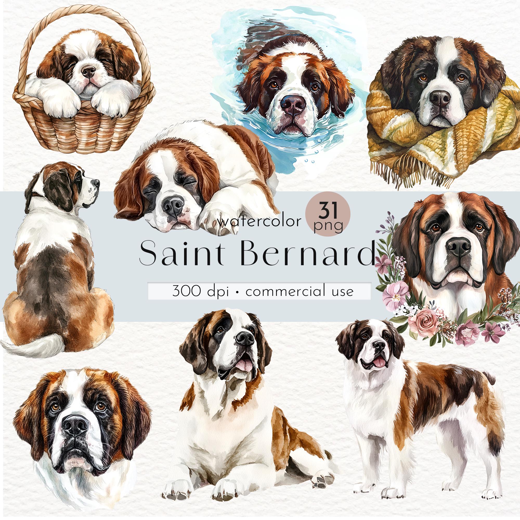 水彩画のセントバーナードのクリップアート：犬のアート画像31枚（商用