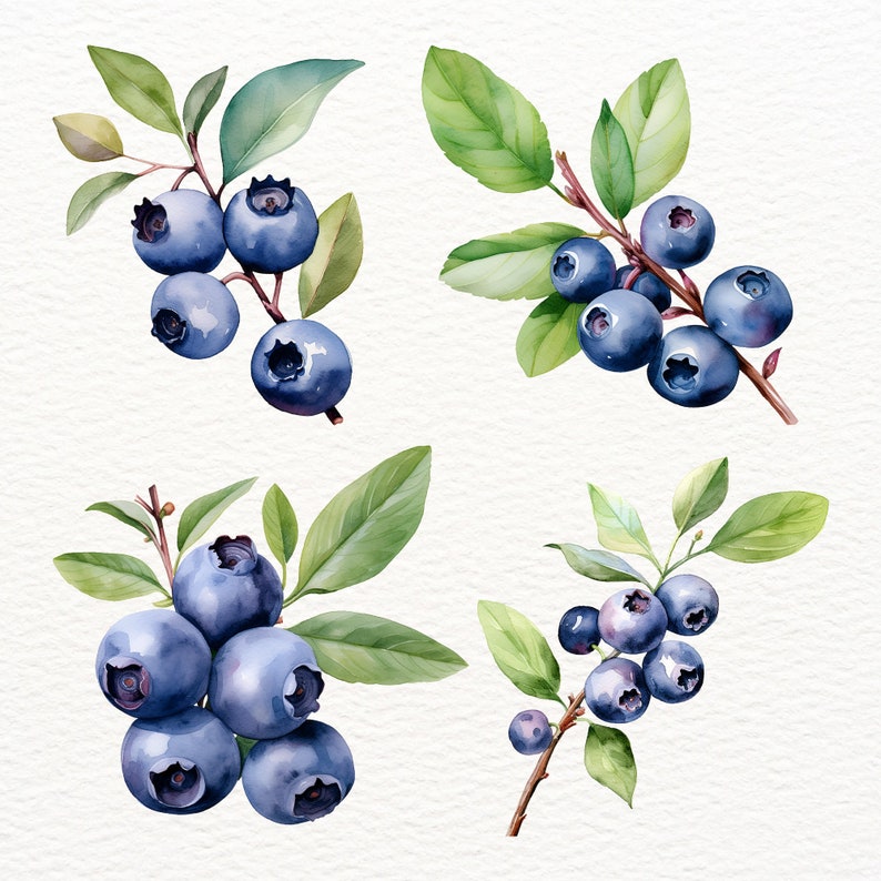 May include: Watercolor painting of blueberries on branches with green leaves. The blueberries are a deep blue color and the leaves are a bright green.