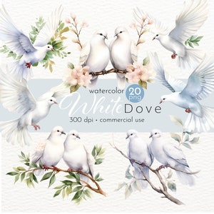 Clipart colombe blanche, clipart oiseau, vol de colombes, aquarelle colombe Clipart - téléchargement immédiat - usage Commercial