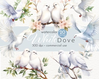 Watercolor Dove Clipart: 20 Flying Bird PNG Images (Commercial Use)