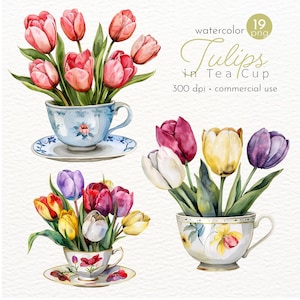Tulips In Tea Cup Clipart, Watercolor Tulips, Floral Tea Cup, Images of Beautiful Spring Flowers - Instant Download - Commercial Use