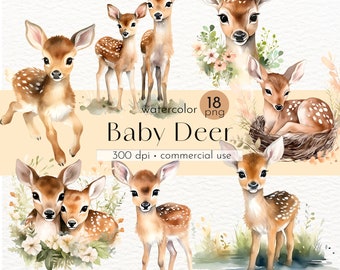 Baby Deer Clipart: 18 Watercolor Forest Animals (PNG, Commercial Use)