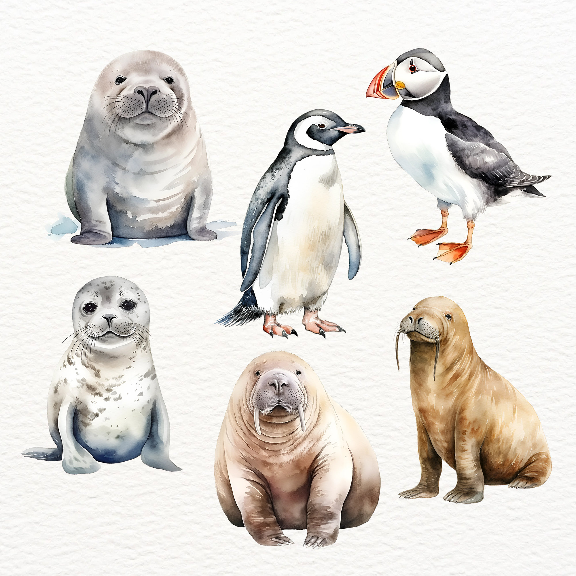 Arctic Animals Clipart, Penguin, Polar Bear, Walrus, Baby Shower