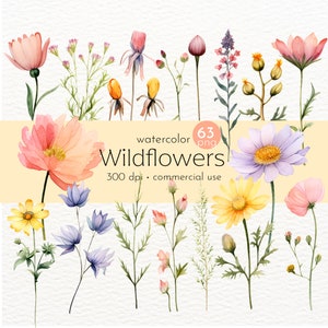 Clipart de flores silvestres, flores Boho em aquarela, pintura de flores silvestres, buquê de verão - download instantâneo - uso comercial