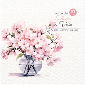 Sakura in Vase Clipart, Aquarell Kirschblüte, rosa Blumen Clipart, Bilder von schönen Blumen - Instant Download - Kommerzielle Nutzung