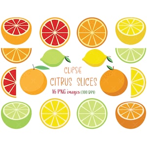 Citrus Fruit Slices, Clip Art Set of Lemon, Orange, Lime , Fruit, Happy Food Clipart - Instant Download