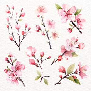 May include: Watercolor illustration of pink cherry blossoms on branches. The flowers are delicate and have a soft, romantic feel. The branches are thin and graceful, and the leaves are a light green.
