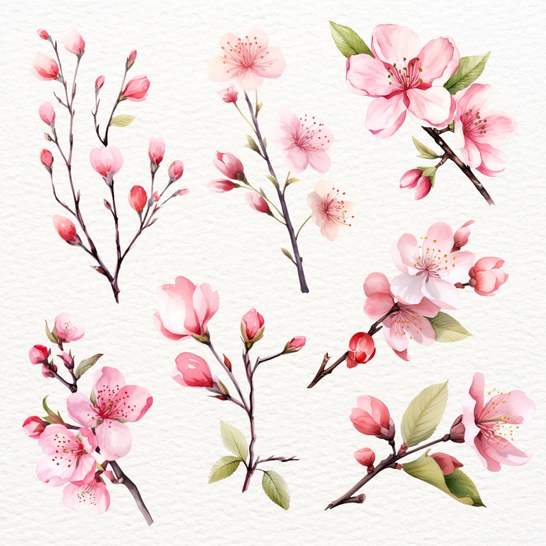 May include: Watercolor illustration of pink cherry blossoms on branches. The flowers are delicate and have a soft, romantic feel. The branches are thin and graceful, and the leaves are a light green.