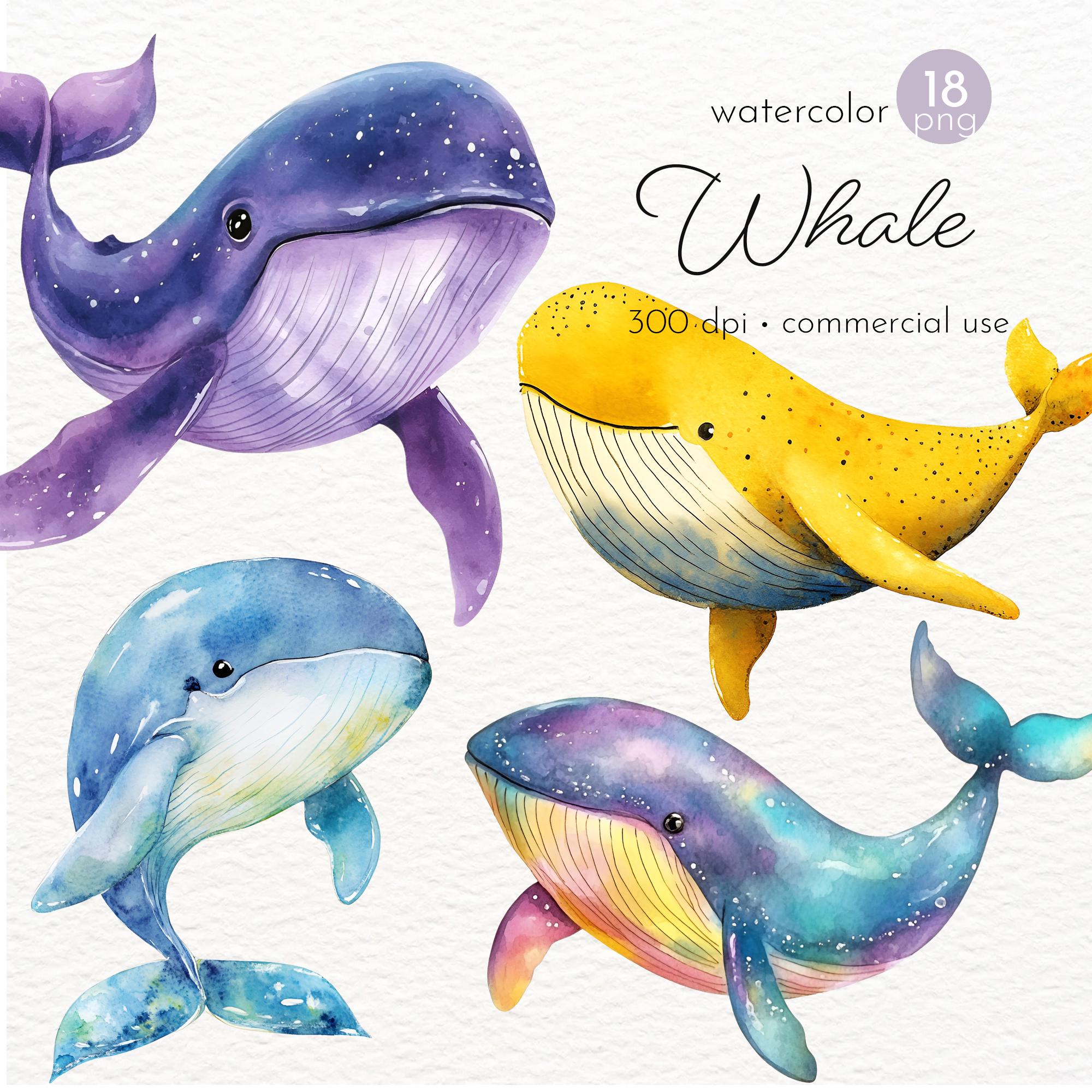 Watercolor Whale Clipart: Sea Animals Art (PNG, Commercial Use) - Etsy