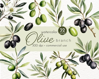 May include: Watercolor illustration of 32 olive branches with green leaves and black olives. The image is labeled "watercolor Olive branch 300 dpi - commercial use".