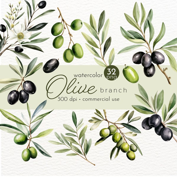 Olive Branches Clipart, Watercolor Leaves Botanical, Watercolor Olive, Olive Branch Clipart - Instant Download - Commercial Use