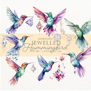 Jeweled Hummingbird Clipart: Watercolor Rainbow Bird Graphics (Commercial Use)
