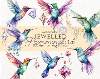 Juwelen Kolibri Clipart: Aquarell Regenbogen Vogel Grafik (Kommerzielle Nutzung)