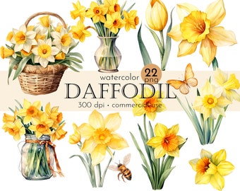 Watercolor Daffodil Clipart: Flower Bouquets, Summer Images (Digital Download)