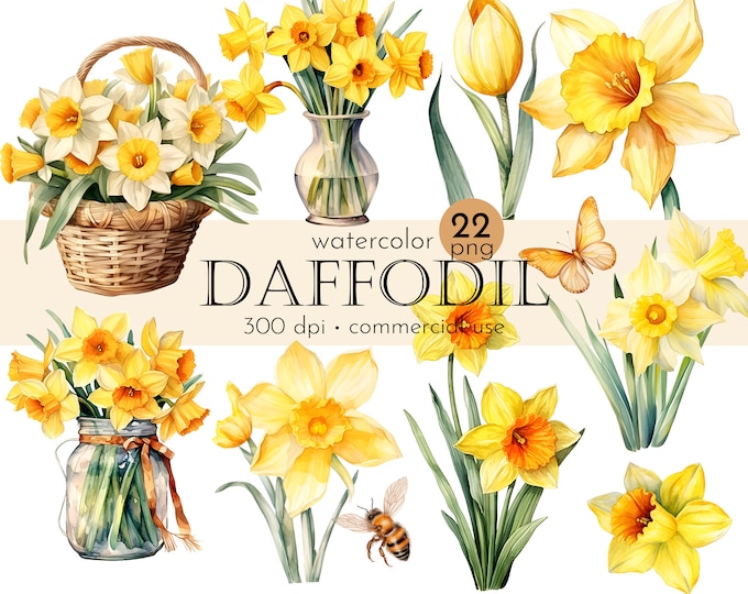 Watercolor Daffodil Clipart - Spring Flowers in PNG Format Instant ...