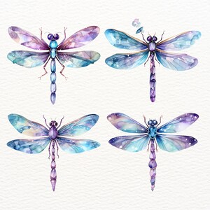 May include: Four watercolor illustrations of dragonflies with iridescent wings. The dragonflies are in various shades of blue, purple, and pink. The wings have a delicate, almost translucent quality.