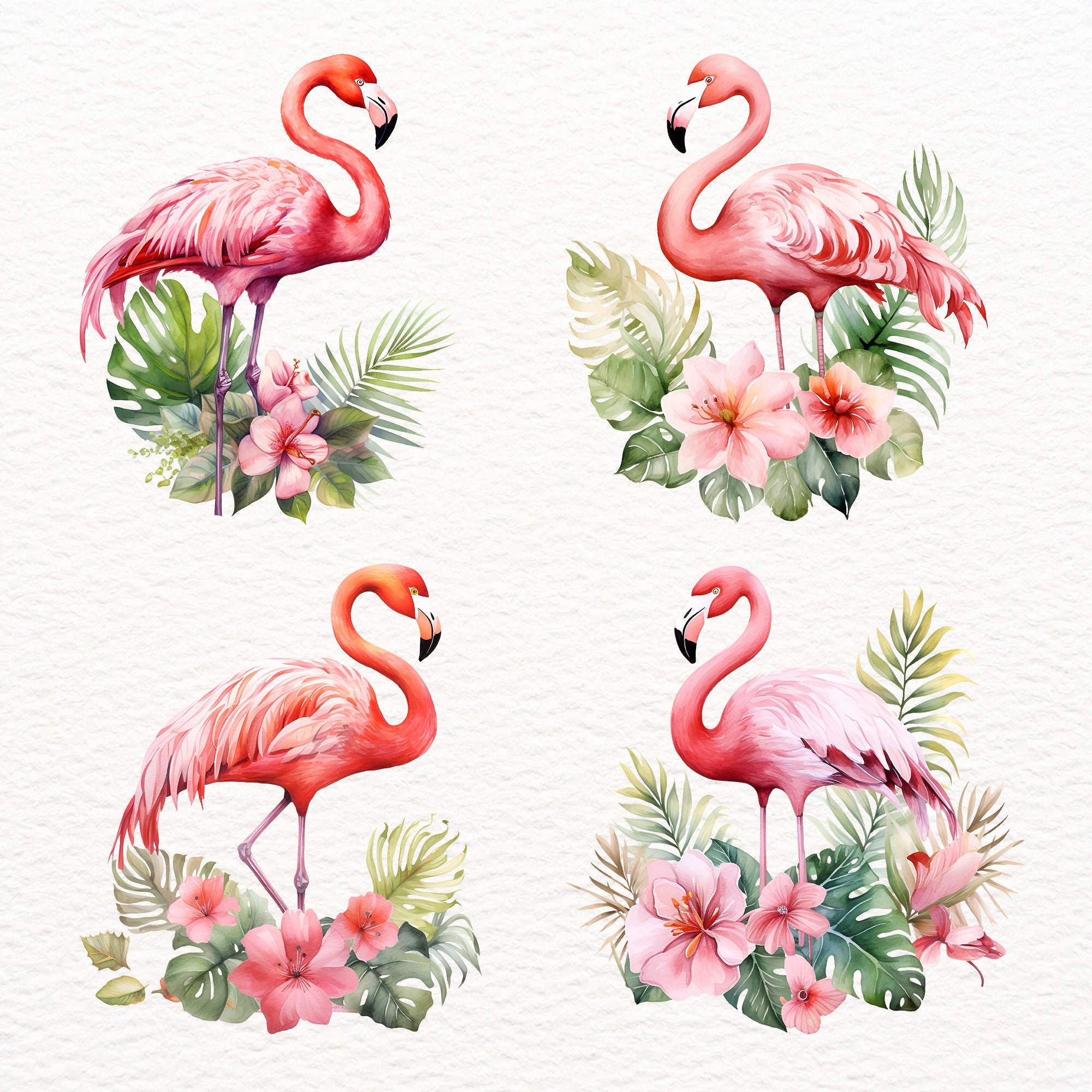 Watercolor Flamingo Clipart: Tropical Floral Bird PNG (commercial Use ...