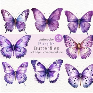 Clipart de borboletas roxas, insetos em aquarela, borboletas pintadas, borboleta orgânica - download instantâneo - uso comercial