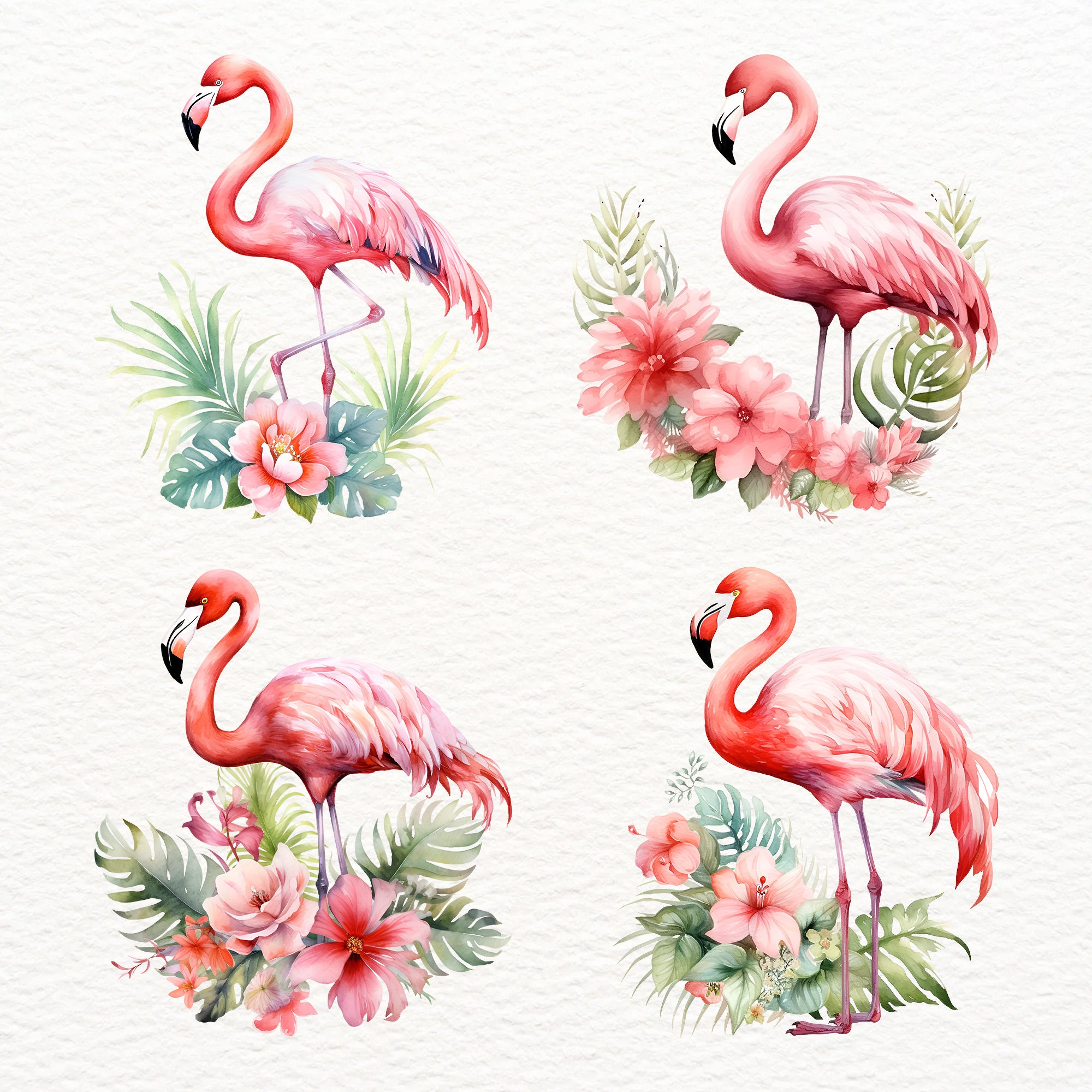 Watercolor Flamingo Clipart: Tropical Floral Bird PNG (commercial Use ...