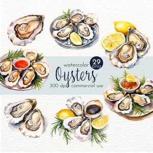 Austern Clipart Bundle: Fisch Illustrationen (kommerzielle Nutzung, Sofort-Download)