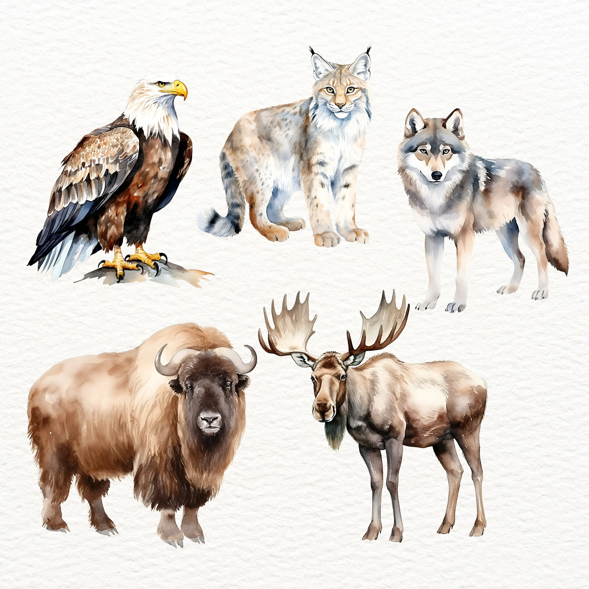 Arctic Animals Clipart, Penguin, Polar Bear, Walrus, Baby Shower