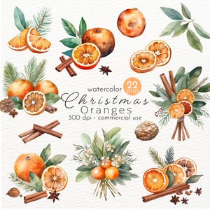 Watercolor Christmas Oranges Clipart: Spice & Forest PNG Images (Digital Download)