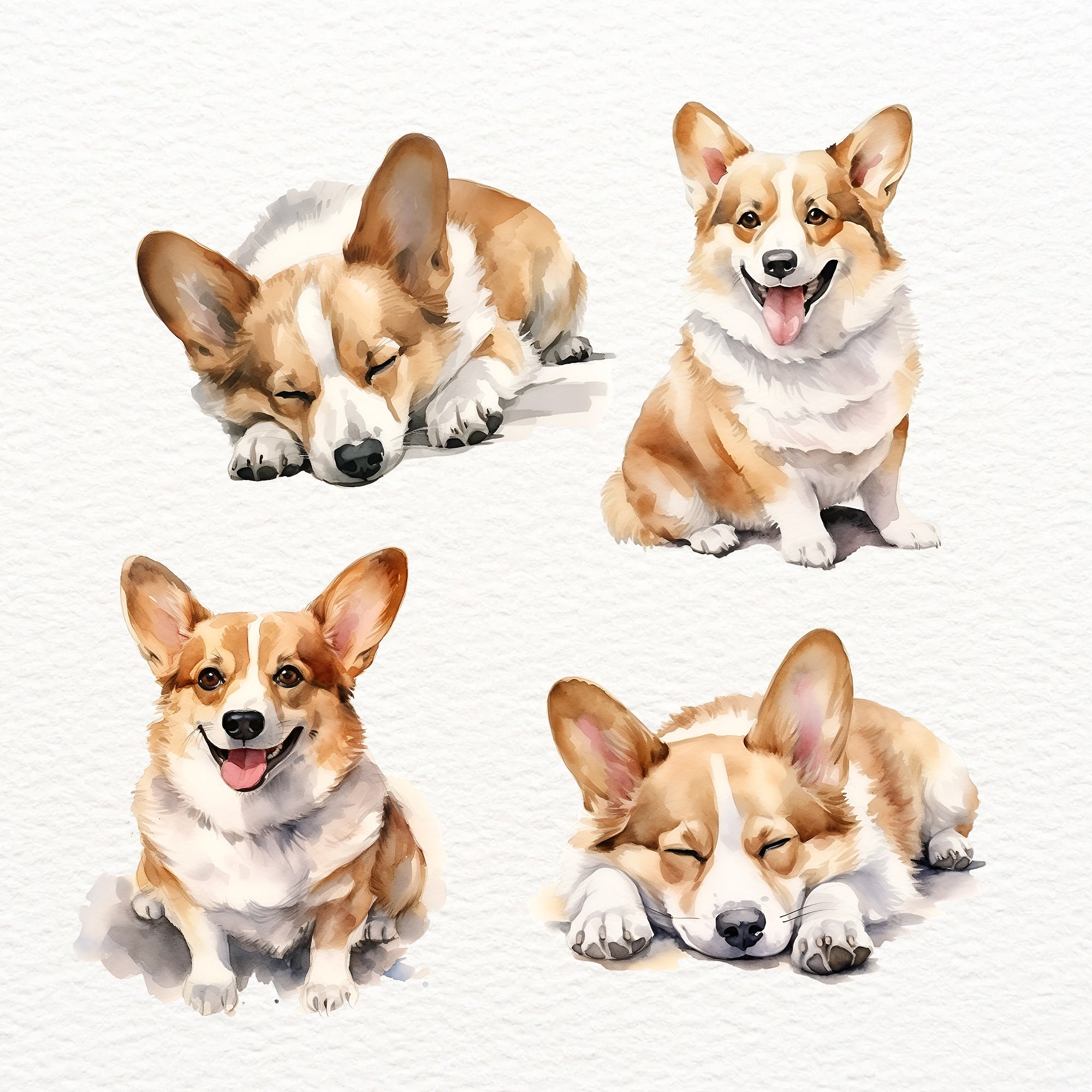 Corgi Dog Clipart, Welsh Corgi, Watercolor Dog, Cardigan Welsh Corgi ...