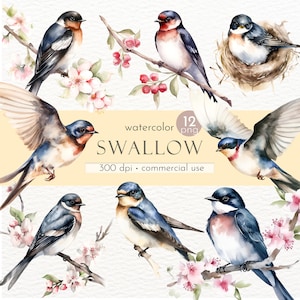 Swallow Clipart, Watercolor Bird Clipart, Barn Swallow, Birds On A Branch, Song Bird Clipart - Instant Download - Commercial Use