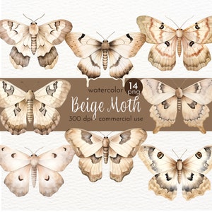 Beige Motte Clipart, Aquarell Insekten, gemalte Motten, rustikale Bio Motte - Instant Download - Kommerzielle Nutzung