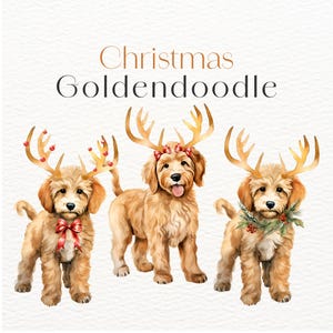Goldendoodle di Natale con corna di cervo dorate Clipart, arte natalizia invernale, inviti per le vacanze - Download immediato - Uso commerciale