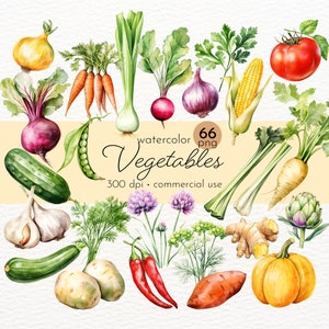 Bundle de cliparts de légumes, salade, plantes, légumes verts, aliments frais, légumes végétariens - téléchargement immédiat - usage commercial