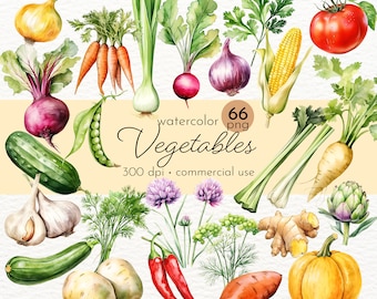 Gemüse Clipart Bundle, Salat, Pflanzen, Grüns, frische Lebensmittel, Vegetarisches Gemüse - Instant Download - Kommerzielle Nutzung