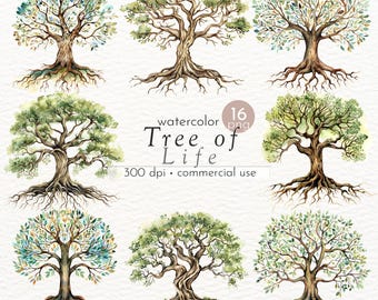 Watercolor Tree of Life Clipart: Oak Tree PNG Images (Commercial Use)