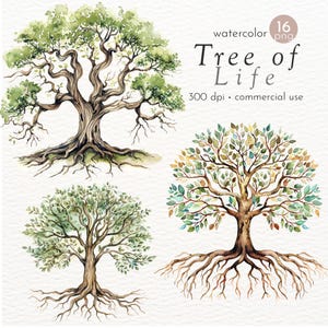 Clipart dell&#39;albero della vita ad acquerello: immagini PNG di quercia (uso commerciale)