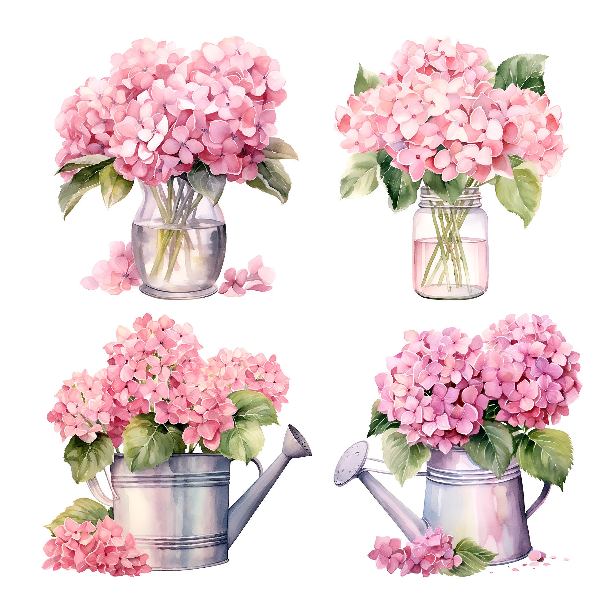 Pink Hydrangea Watercolor Clipart: 22 PNG Flower Images (commercial Use ...