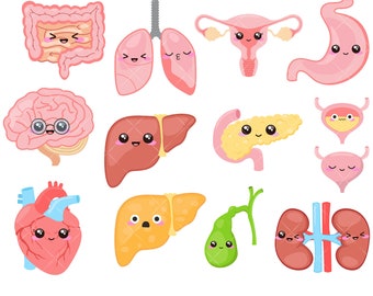 Kawaii Human Organs Clipart, Brains, Heart, Kidney, Utero, Intestines, Lungs, Liver - Instant Download