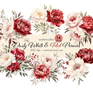Watercolor Peonies Clipart: Dusty White and Red Flowers (PNG, Commercial Use)