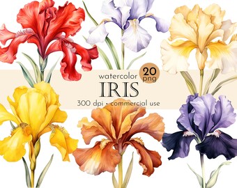 Watercolor Iris Flowers Clipart: 20 PNG Images (Commercial Use)