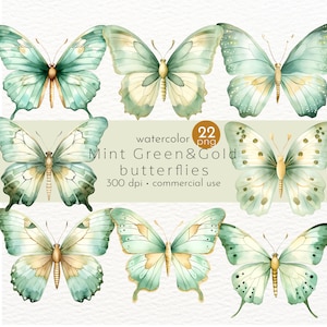 Mintgroene en gouden vlinders clipart, aquarel insecten, geschilderde vlinders, biologische vlinder - instant download - commercieel gebruik