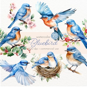 Clipart oiseau bleu, clipart Aquarela, oiseau arc-en-ciel, graphiques oiseau bleu, oiseau bleu floral - téléchargement immédiat - usage Commercial