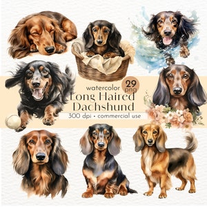 Clipart de Dachshund de cabelos compridos, cachorro em aquarela, arte de cachorro fofo, clipart de presentes para animais de estimação - download instantâneo - uso comercial